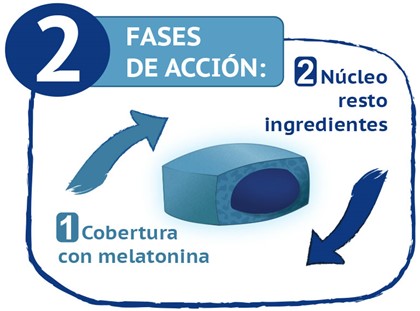 fases de acción Sleepeel Comprimidos